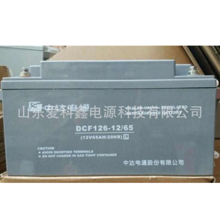 中达电通（台达）蓄电池12v65ah DCF126-12/65 UPS直流屏铅酸电池