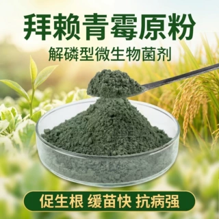 定制拜赖青霉农业用生物菌剂 全水溶100亿含量提升菌剂肥力原料