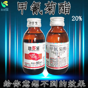 �rș�����������20%�����֬���x���rș���׸����߲˚��x���S��
