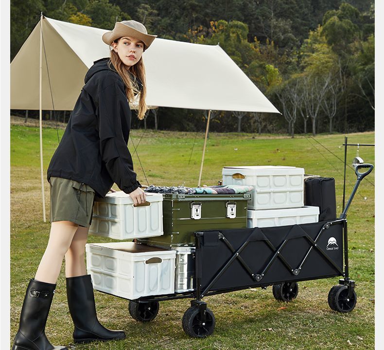 a3defeaf-1e8a-427f-9d37-7cc77e9a4a64.jpe