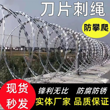 监狱围墙防盗攀爬带刺围栏螺旋式滚筒铁丝刺网不锈钢刺绳刀片刺绳