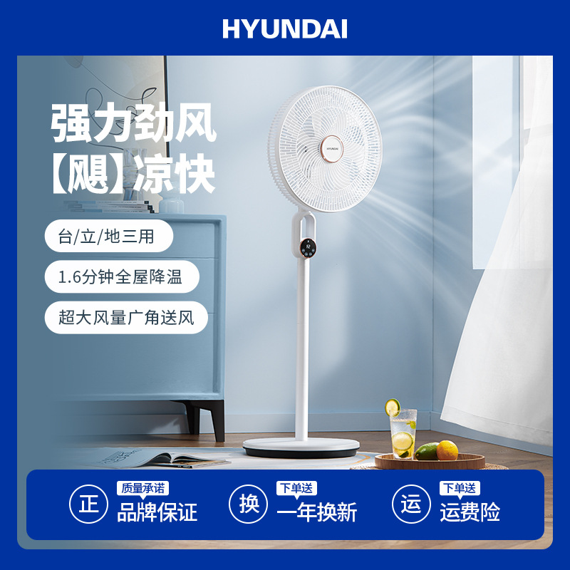 新品HYUNDAI韩国现代落地扇家用大风力遥控立式电风扇三合一风扇