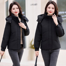 �p�݌���Ůʿ��q���������Bñ�ɲ�ж�����q�ٴ������Ӻ�̿�����