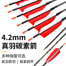 4.2mm����̼�� ���y���C���������^��������������u����̼�ؼ�