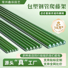 �@ˇ��������䓹����Ѽ�ů��֧��ֲ�ﻨ������֧�ΗU���¼�