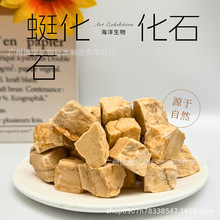 ��Ȼ�������ѻ�ʯ���������ѿƻ�ʯ���|���ս̌W�˱�ģ��