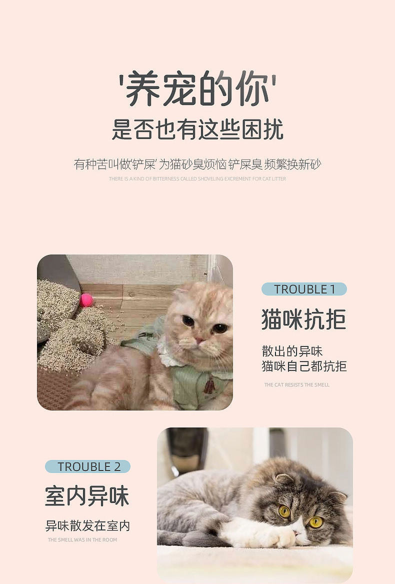 9c7041c9-51c0-481c-a33e-62b625fee736.jpe