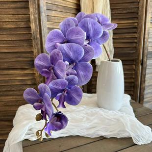 9�^�zƬ��������m�ָмٻ���c���滨�m���Ҿ��b����컨���l