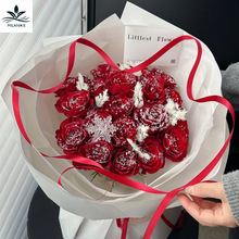 ��ѩõ�廨���b���ѩ�����}�Q��ѩ���F����ˇ�Y���ֹ�diy����