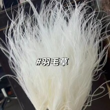 永生轻奢装饰网居家厂家直销羽毛红花材花艺仙气进口diy长杆花草