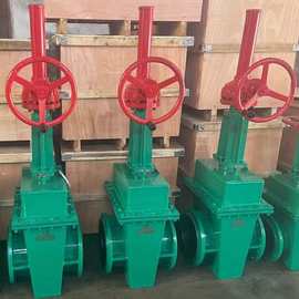 手动衬胶法兰闸阀Z342J-10C  伞齿轮铸钢双面密封闸阀图片