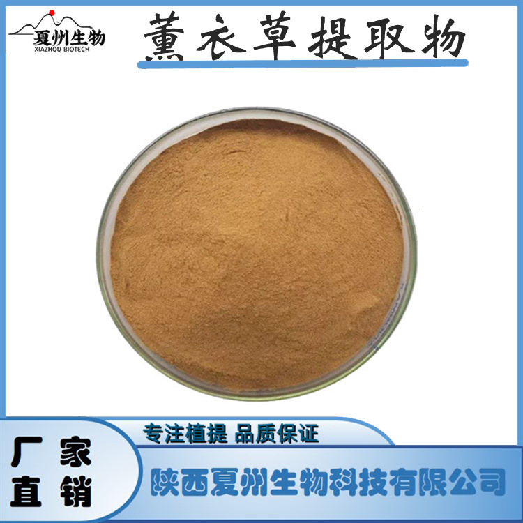 薰衣草提取物10/20/30:1 夏州生物供应 公斤装