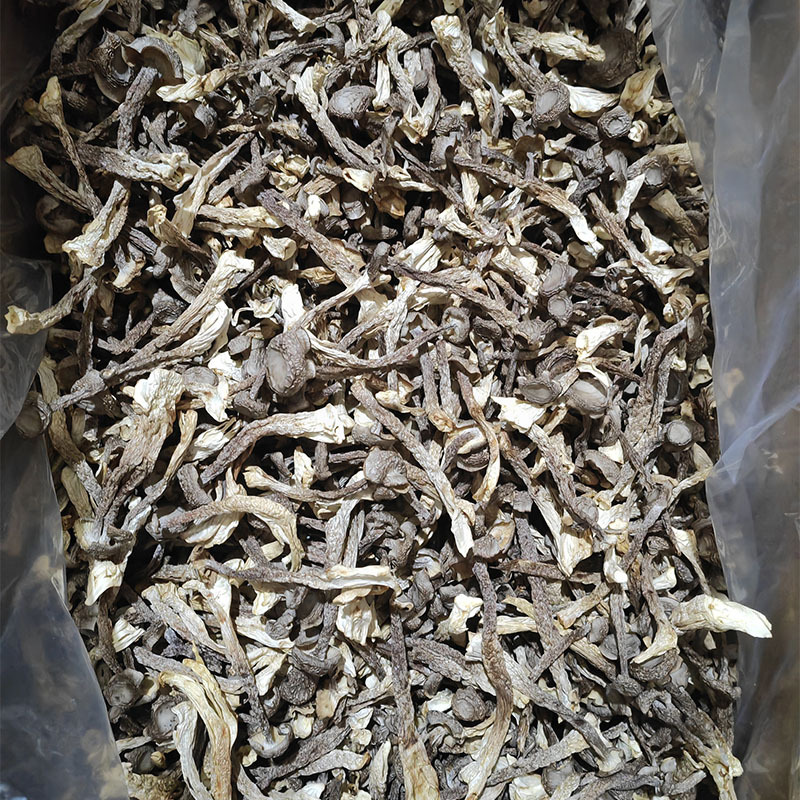 273061873e6a965c2608812a3fca78