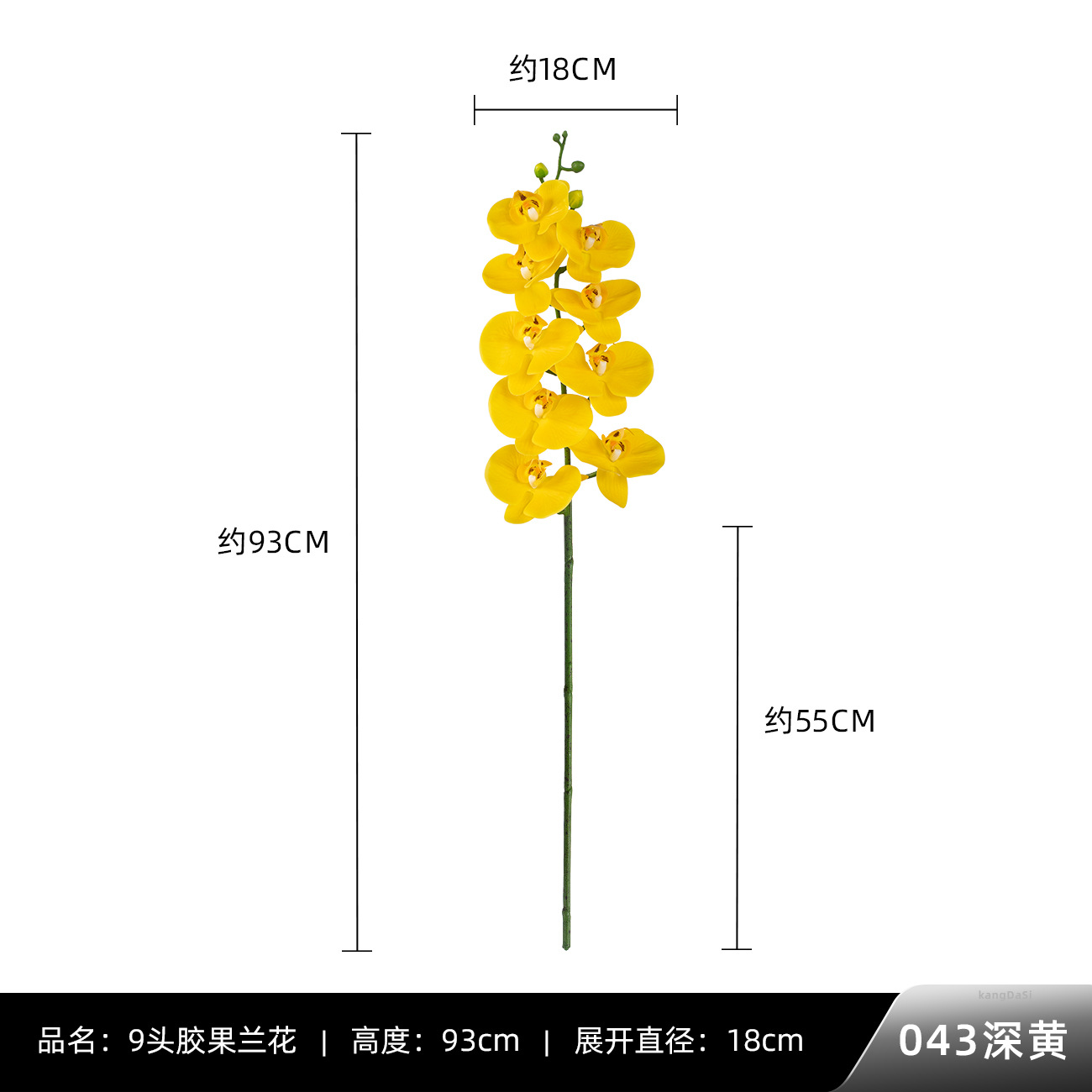 043 다크 옐로우 9 껌 과일 난초