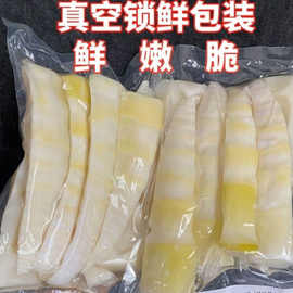 5斤8斤竹笋尖嫩笋冬笋新鲜火锅食材300克笋丝年货蔬菜包邮