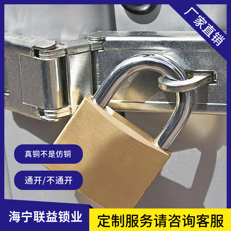 铜挂锁小锁头铜锁箱锁柜门锁中型20 25 30 40 50 60 70mm支持定制