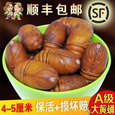 东北产柞蚕蛹新鲜活蚕蛹大黄蚕蛹2023年A级大茧蛹蝉蛹500g顺丰