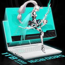 ��ѡ5Pro FX607J i7-13650hx 16G 1T�ʼǱ�����