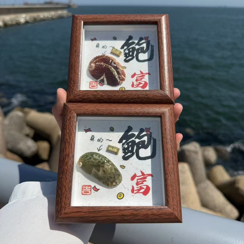 送料無料天然法螺貝塩漬け魚ナマコカニ標本フォトフレーム装飾品海辺クリエイティブギフト誕生日ギフト|undefined