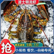 波士顿大龙虾鲜活速冻海鲜大波龙波斯顿龙虾C位担当大虾加拿大