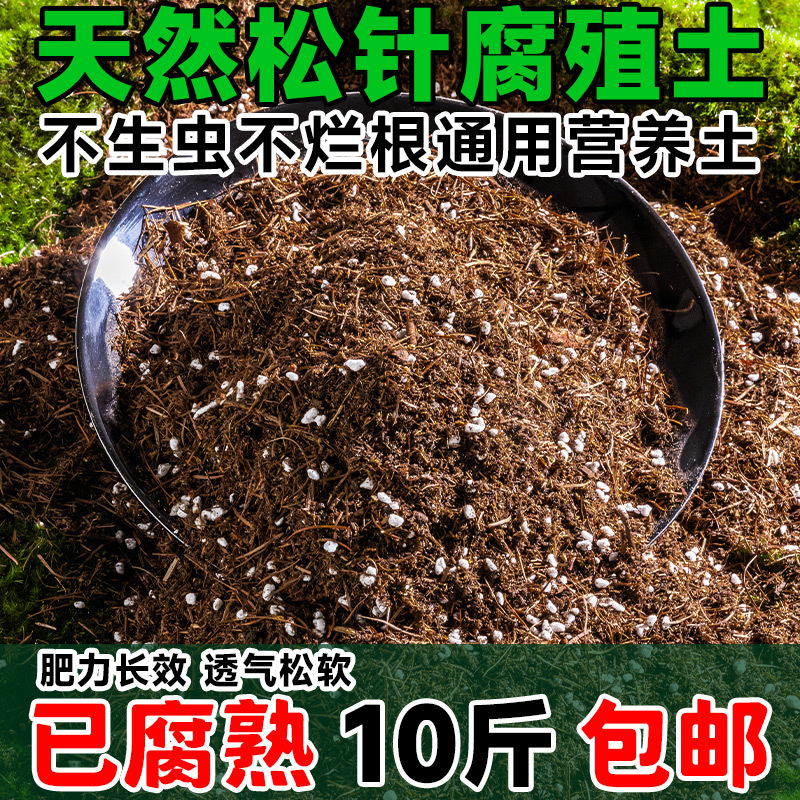 松针天然腐叶腐熟纯君子兰花多肉泥炭营养土养花通用专用土