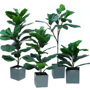 �����ֲ��Gֲ���Կ͏d�҃ȴ��ͼ��辰��ؔ[���٘� �������~��