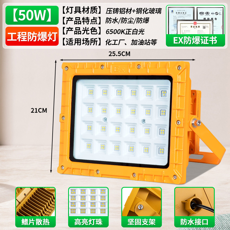 국가 표준 분할 EX 방폭 램프 50w - 화재 방지 포함 - 감지 기능 포함