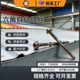 来样定制自钻螺丝 外六角自攻钻尾丝自钻燕尾丝彩钢瓦钻尾 螺丝钉