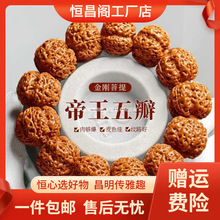 厂家包邮尼泊尔大金刚菩提手串男爆肉龙纹菩提子文玩原籽核桃