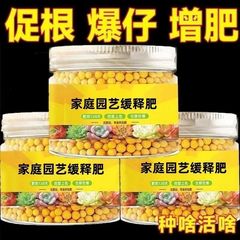 多肉肥料专用肥专用土颗粒控释肥缓释肥通用型绿植花肥养花营养土