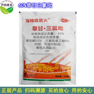 100�� ���Z�� �ݸ��������ݸ�������������� �rș�ĵس��݄�