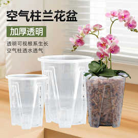 空气柱盆透明青山控根盆兰花水苔蝴蝶兰花盆塑料透气镂空花盆批发