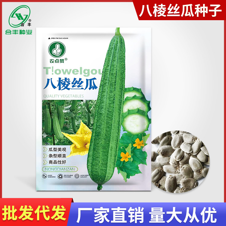 八棱丝瓜种子八角丝瓜种籽老品种长丝瓜棱角水瓜种孑蔬菜种子批发
