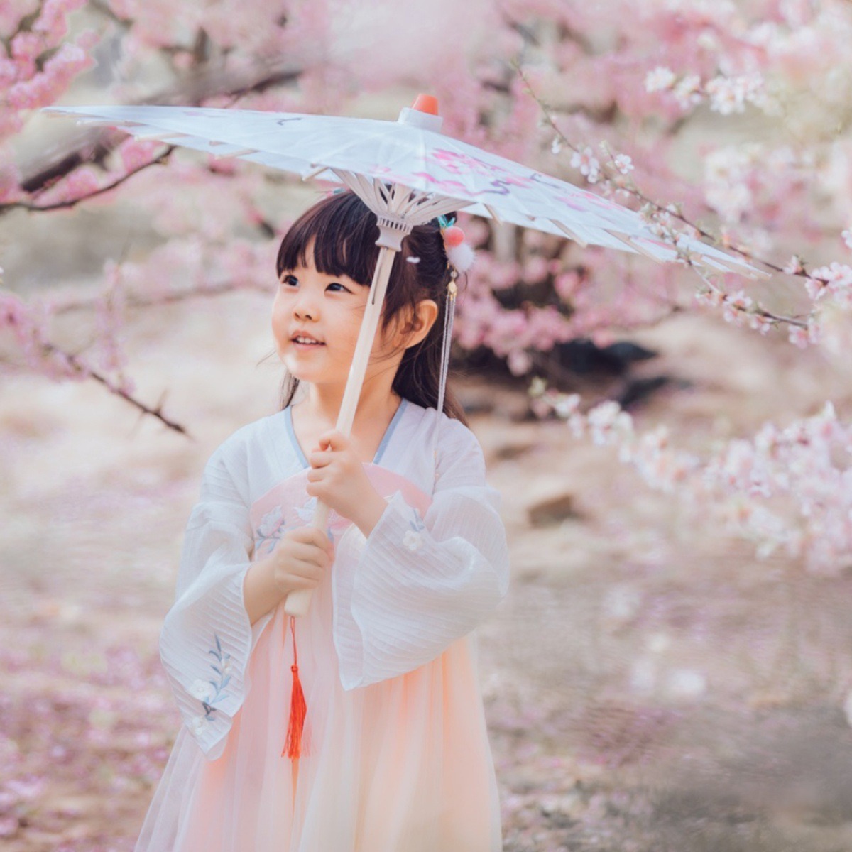 어린이 70  56 중국 스타일 HANFU 의상 사진 패션쇼 기름 종이 우산 XIA HUI 같은 스타일 쉽게 열고 닫는 댄스 우산