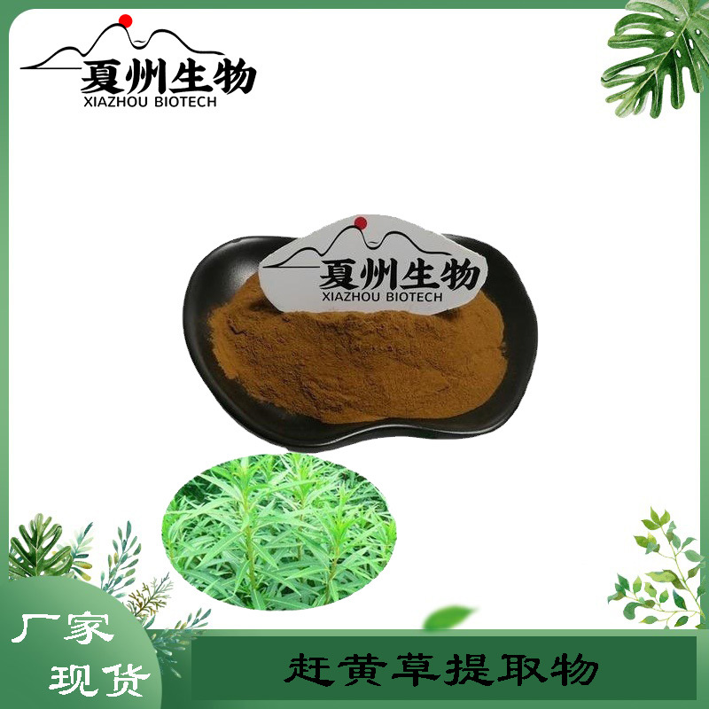 赶黄草提取物10/20/30/50:1  水泽兰提取粉  夏州生物供应kg装