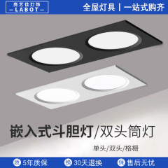 LEDグリルライト 15x15 埋め込みグリル天井専用ライト グレープラックライト スクエアダウンライト バイアルスポットライト