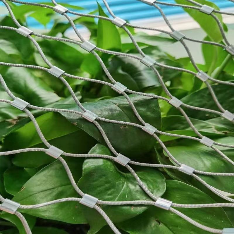 304不锈钢绳网楼梯防坠落高空抛物安全网钢丝绳防护网植物攀爬网
