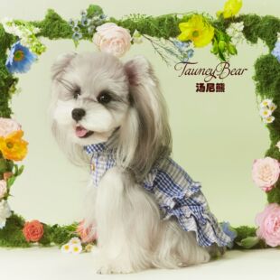 ������Ů�����·��o�䴺�Ŀ�ѩ�{��̩�ϱ����{���黨��߅�B��ȹ