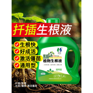 Big Tree Rooting Liquid, Dead Tree Resurrection Liquid, Tree Transplanting and Seedling Strengthening Agent, Plant Universal Nutrient Solution Activation Liquid