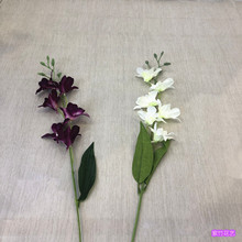 ������m�� �Ҿ��b����m���͏d���Ҕ[���҃Ȕ[�ņ�ֻ/���廨��