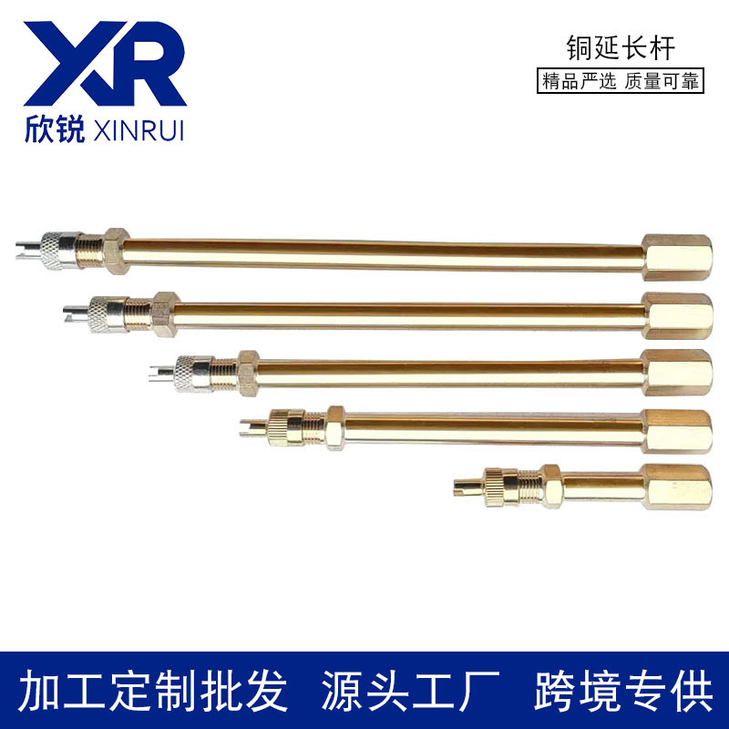 气门嘴延长杆平衡车独轮车电动车美嘴延长嘴轮胎打气美嘴加长管