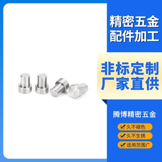 工厂制作SKD11母模衬套 精密五金配件冲针冲头 母模衬套子