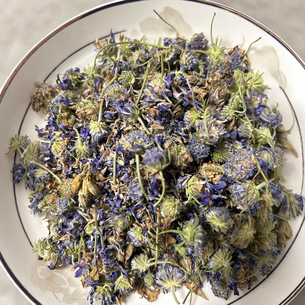 蓝盆花 批发冷背中药材 轮锋菊 松虫草 山萝卜 药用 正品 保含量