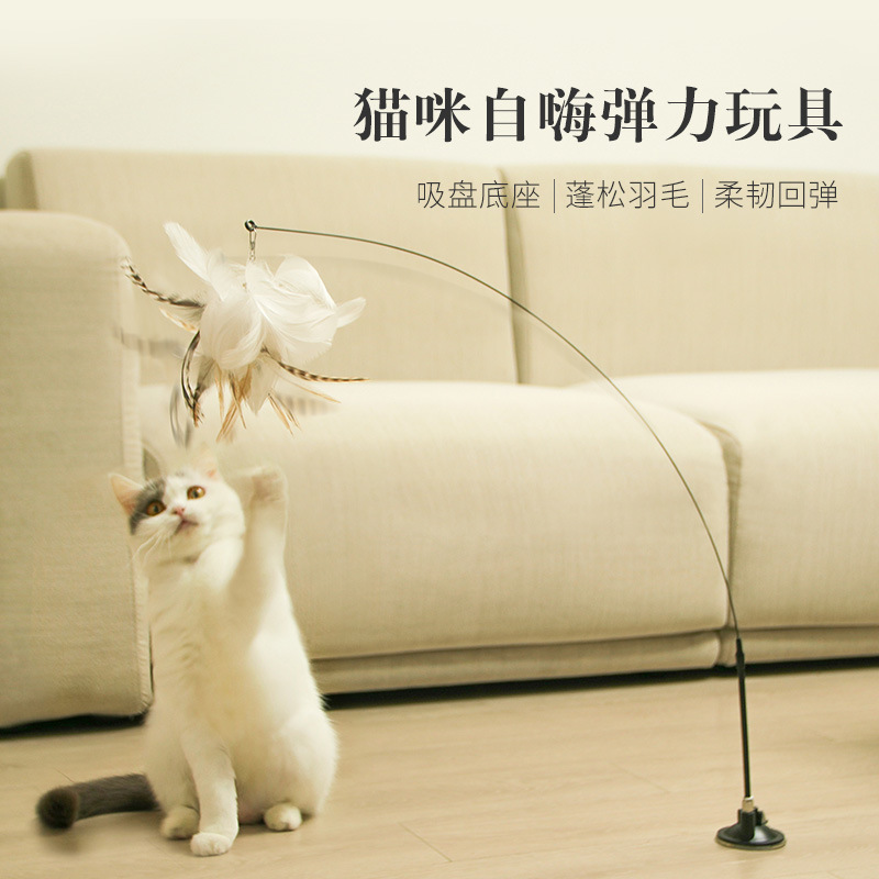 Peg Kitten Self-Pleasure Long Pole Funny Cat Stick Steel Wire Feather Bell Suction Cup Fixed Cat Interactive Toy Kitten Peg Kitten Self-Pleasure Long Pole Funny Cat Stick Steel Wire Feather Bell Suction Cup Fixed Cat Interactive Toy Kitten