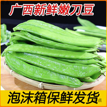 �V���������r�Fժ�Fժ���Ŷ���Ͷ��ǰ��]�ⶹ�����r�Ҽt������