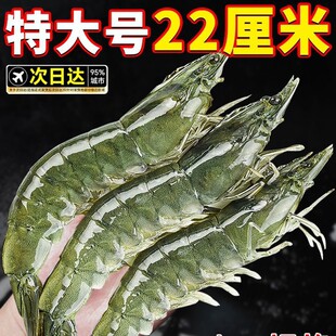 ����S���]�����u���r �r���ك����� ���rˮ�a���r�����r���r����