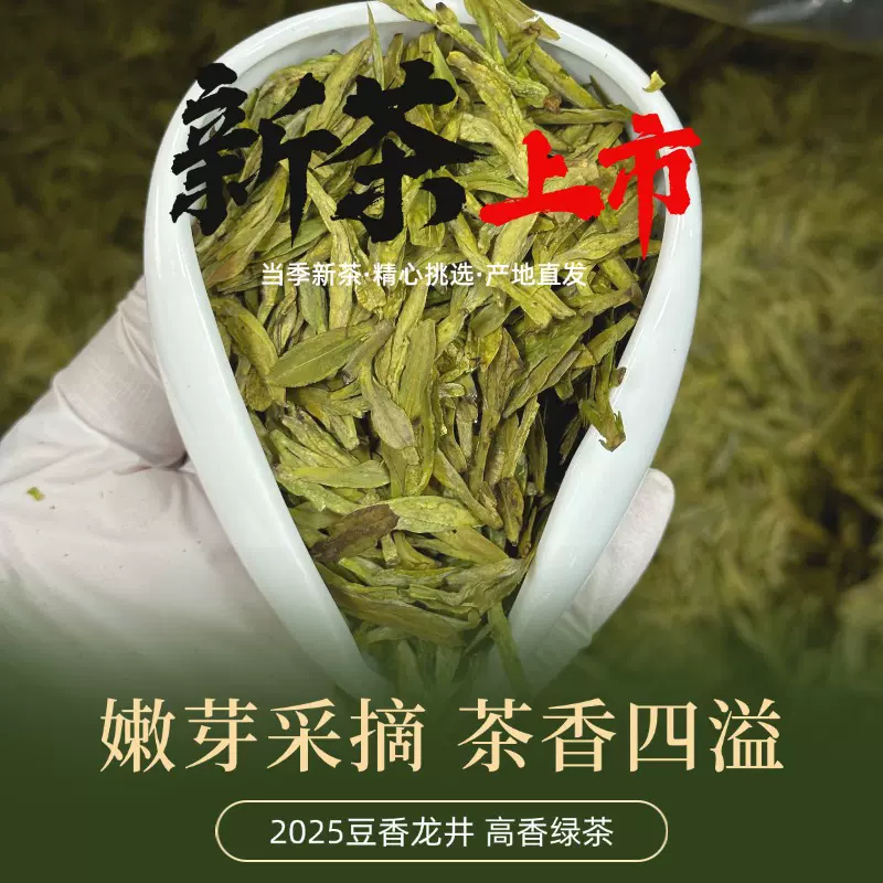 2025新茶春茶豆香龙井茶绿茶 蒙顶山早春9号原料高香龙井一芽一叶