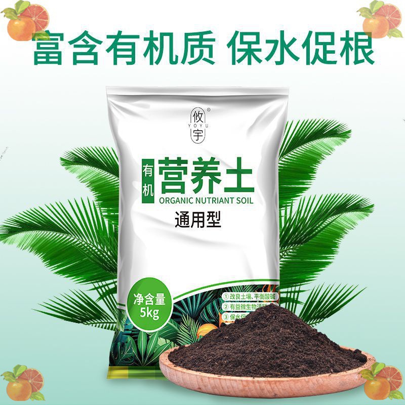 O1CN01LFPq4T1yUbsklXXv3_!!2218381076582-