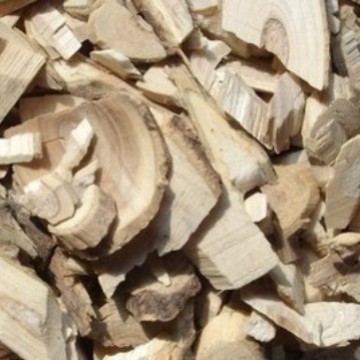 批发 葱木 鸟不宿 大货葱木批发