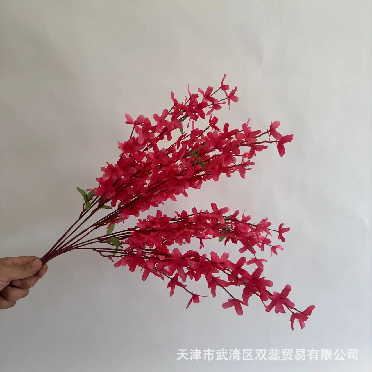 로즈 레드
